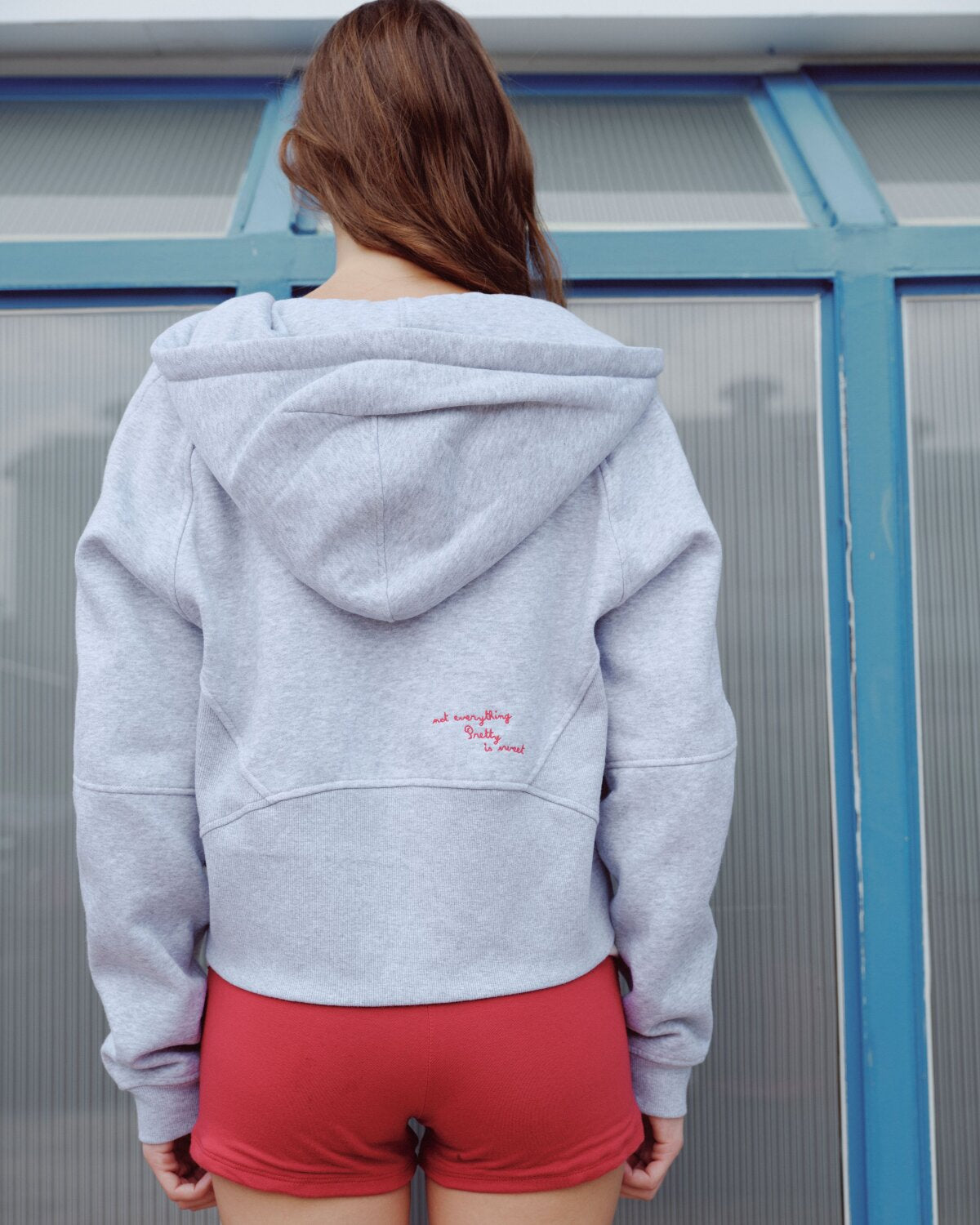 ColorsCulture THE ZIP HOODIE - GREY