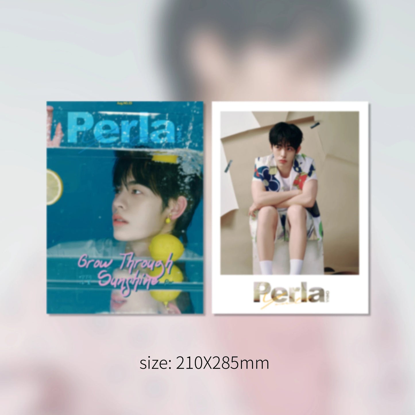 PerlaWorld B版|Por『柠风浮夏』