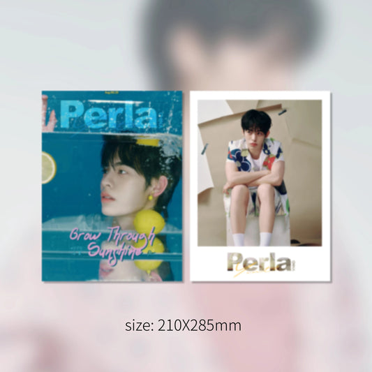 PerlaWorld B版|Por『柠风浮夏』